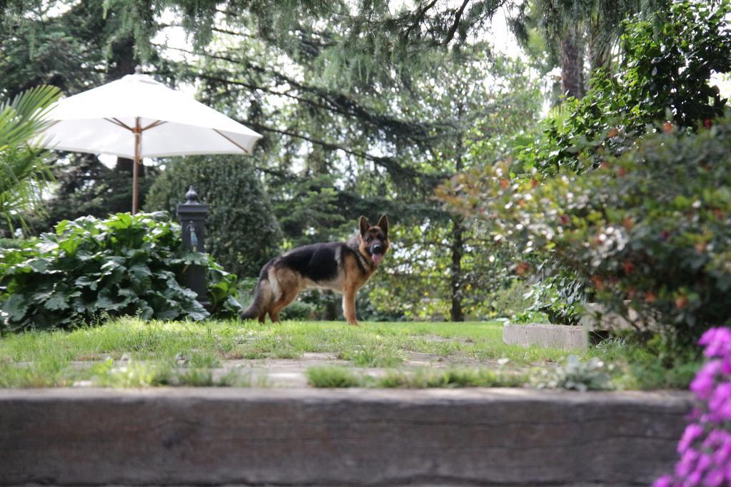 B&B Casa Carla Pinerolo Dış mekan fotoğraf