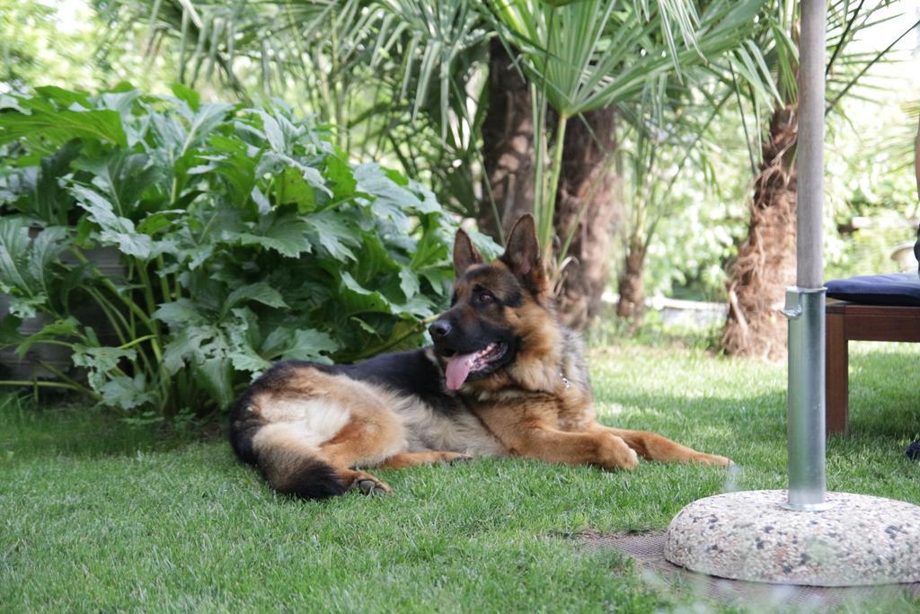 B&B Casa Carla Pinerolo Dış mekan fotoğraf